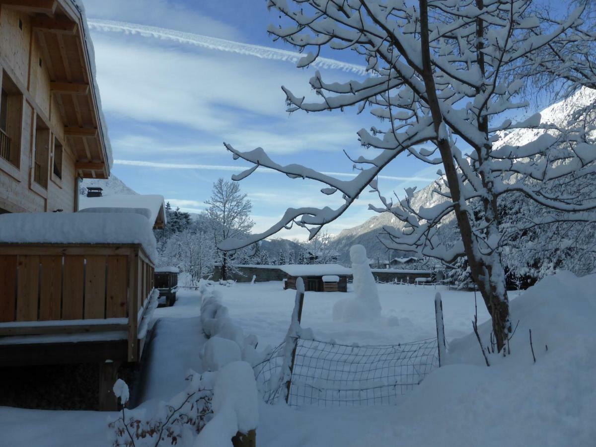 Les Chalets Aquarelle シャモニー エクステリア 写真